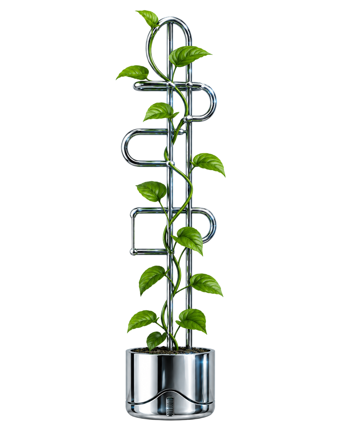 A plant growing around a chrome structure